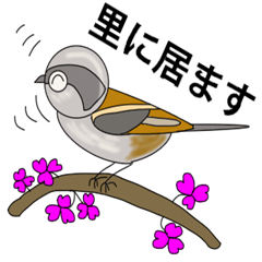 [LINEスタンプ] バードウオッチャーの会話パート4