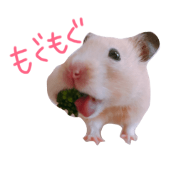 [LINEスタンプ] なっつの1日