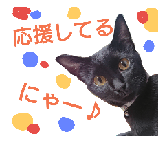 [LINEスタンプ] 黒猫ぎん