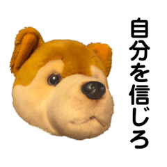 [LINEスタンプ] 柴犬ぐるみのモレさん2〜応援編〜