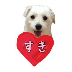 [LINEスタンプ] まっくすたんぷ LOVEバージョン