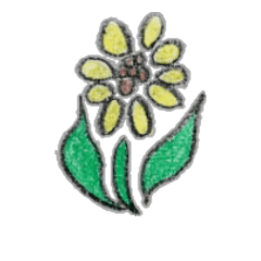 [LINEスタンプ] 手描きの花