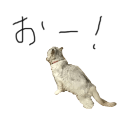 [LINEスタンプ] たまのたま