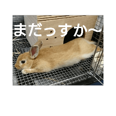 [LINEスタンプ] みとん NO．2