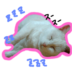 [LINEスタンプ] 寝こ