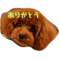 [LINEスタンプ] 可愛いラブちゃん