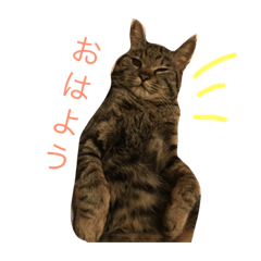 [LINEスタンプ] まりぶの日常