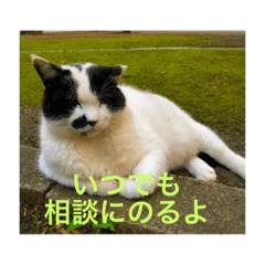 [LINEスタンプ] 牛子  公園編  1