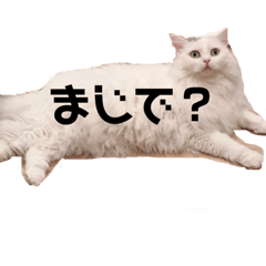 [LINEスタンプ] ラガマフィンみみのぐうたら毎日