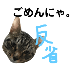 [LINEスタンプ] キジトラ猫のホクトさん3