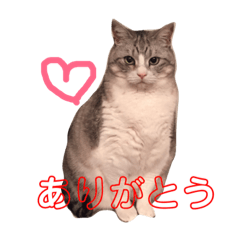 [LINEスタンプ] トラスタンプ1