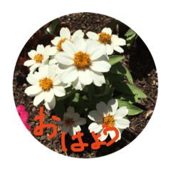 [LINEスタンプ] 噴水とお花のスタンプ