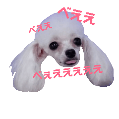 [LINEスタンプ] ぶさかわアデル