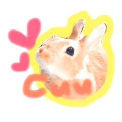 [LINEスタンプ] 大好きなうさぎちゃん