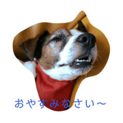 [LINEスタンプ] ジミー君