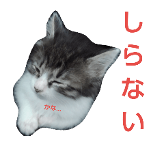 [LINEスタンプ] 姫ちゃん part Ⅲ