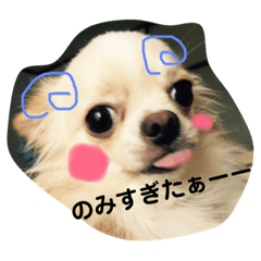 [LINEスタンプ] くー＆きーち