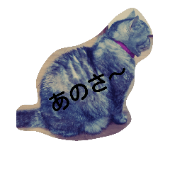 [LINEスタンプ] もえつん