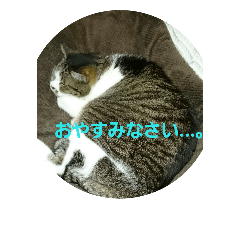 [LINEスタンプ] くーさま ②