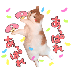 [LINEスタンプ] ラガマフィンのシフォンちゃん