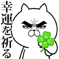 [LINEスタンプ] 目ヂカラ☆にゃんこ14【応援】