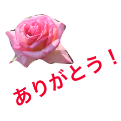 [LINEスタンプ] 花のおしゃべり