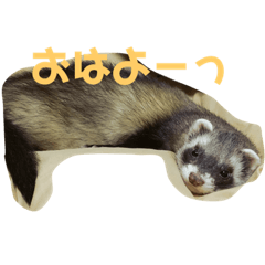 [LINEスタンプ] しずくの一言3