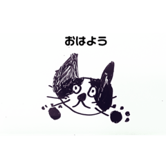 [LINEスタンプ] はじめてのネコのスタンプ