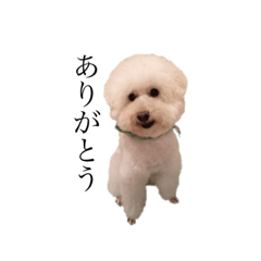 [LINEスタンプ] よういちくんとはなちゃんです