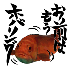 [LINEスタンプ] 海に生きる愉快な仲間達