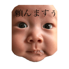 [LINEスタンプ] 貫ちゃんスタンプ