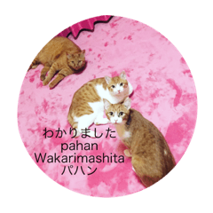 [LINEスタンプ] インドネシアジャパン