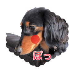 [LINEスタンプ] 愛犬の挨拶 4