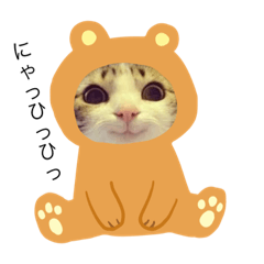 [LINEスタンプ] まるたん