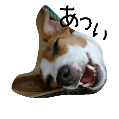 [LINEスタンプ] ハナの一日 2