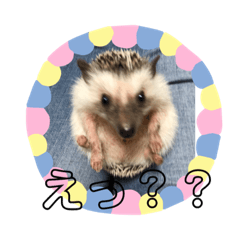 [LINEスタンプ] にっくん