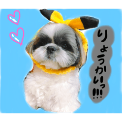 [LINEスタンプ] 愛犬モモタスタンプ★