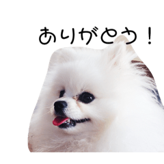 [LINEスタンプ] ゴーゴーDOG2