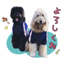 [LINEスタンプ] じの ＆ ぼー