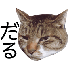 [LINEスタンプ] ぶうのすたんぷ