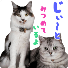 [LINEスタンプ] レオン＆だいもん2