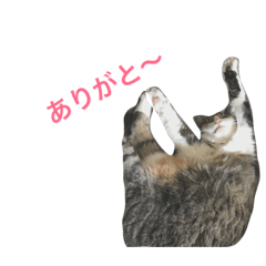 [LINEスタンプ] ディエゴ2