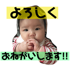 [LINEスタンプ] ひなちゃんの すたんぷ