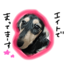 [LINEスタンプ] リラ⑤