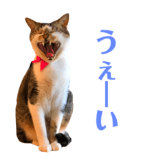 [LINEスタンプ] めいとふぅ2