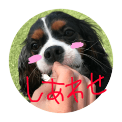 [LINEスタンプ] ハチの日常。