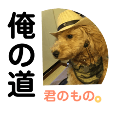 [LINEスタンプ] 男チャッピィの格言1