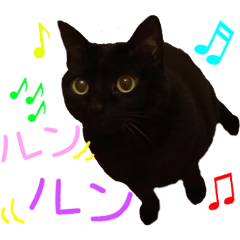 [LINEスタンプ] 黒猫連合の画像（メイン）