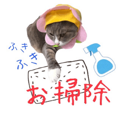 [LINEスタンプ] 猫にゃ・にゃ・にゃ！part8