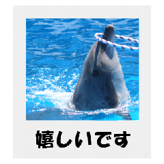 [LINEスタンプ] 写真でご挨拶。